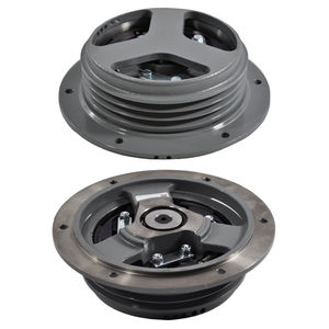 frizione centrifuga