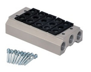 manifold multicanale