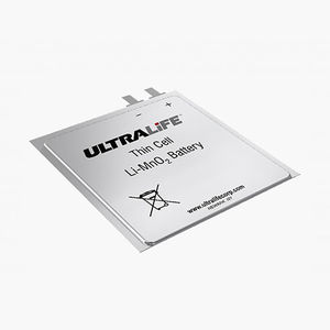 batteria litio-biossido di manganese