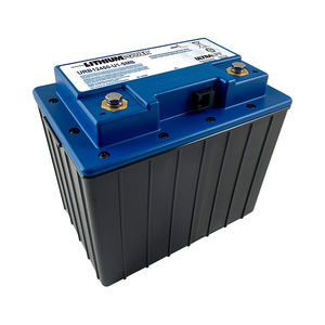 batteria LiFePO4