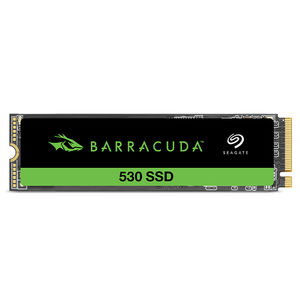 SSD NVMe 1
