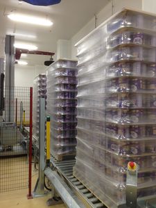 linea di imballaggio per l'industria agroalimentare
