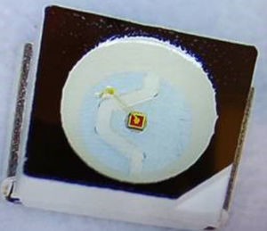LED bianco 1