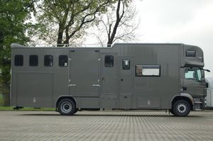 camion da trasporto