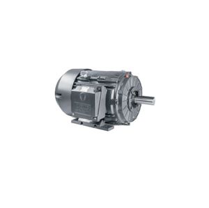 motore asincrono 1