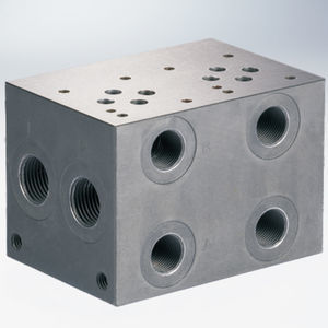 manifold multicanale