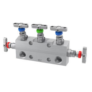 manifold multicanale