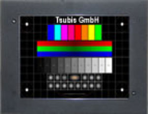 schermo di sostituzione LCD/TFT / 12