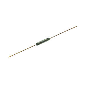 ampolla reed AC/DC