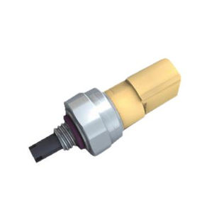 sensore di pressione con sensore di temperatura 1