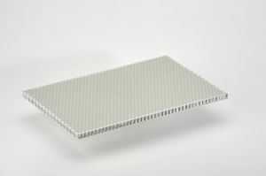 pannello sandwich in alveolari 1