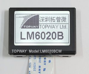 modulo di visualizzazione LCD 1