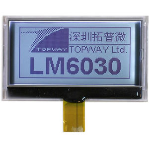 display LCD 1