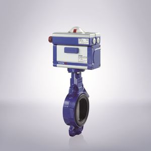 valvola a farfalla / per acqua / a sede / doppia