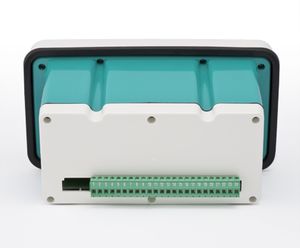 indicatore di peso digitale