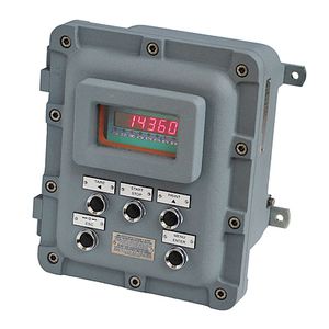 indicatore di peso con display LED 1