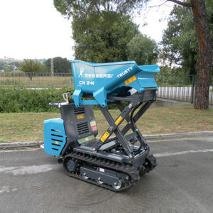 mini dumper cingolato