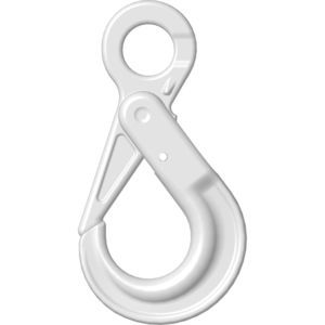 gancio di sollevamento 1