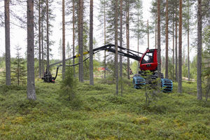 abbattitrice forestale gommata 1