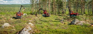 abbattitrice forestale su ruote 1