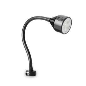 lampada