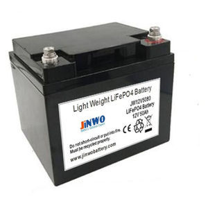 batteria LiFePO4