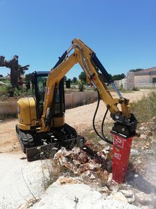 demolitore idraulico 1