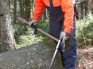 calibro a corsoio forestale