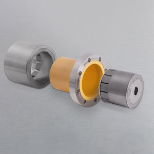 giunto magnetico 1