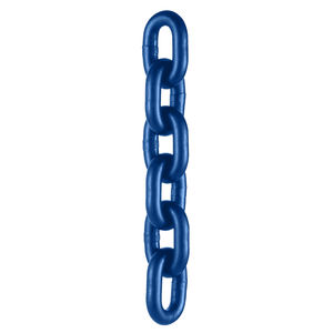 catena di trasmissione
