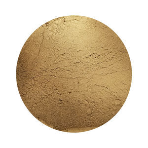 polvere magnetica 1