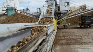linea di produzione di zucchero