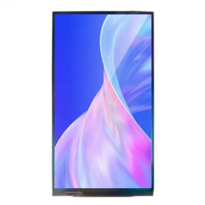 modulo di visualizzazione IPS