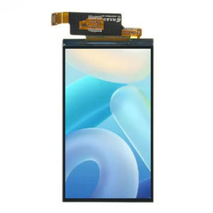 modulo di visualizzazione LCD