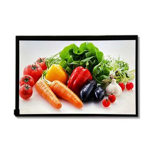 modulo di visualizzazione 10.1