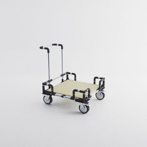 carrello da trasporto