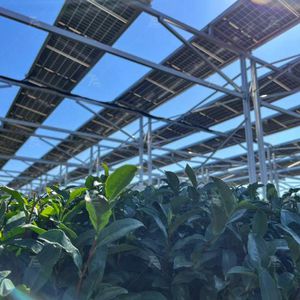sistema di fissaggio per impianti fotovoltaici per serra