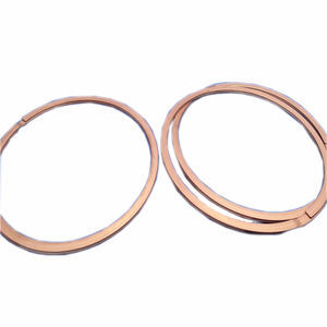 anello di tenuta per bronzine