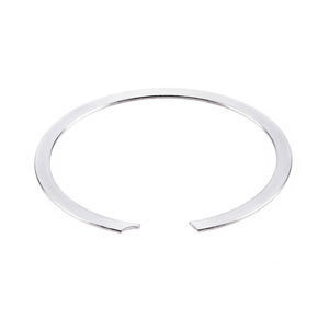 anello d'arresto interno