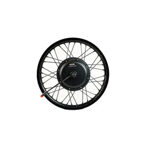 motore ruota brushless