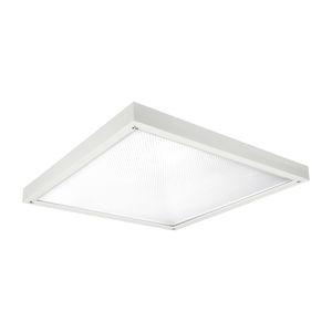 luce