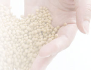 setaccio per prodotti alimentari