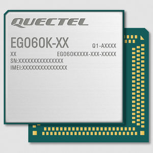 modulo wireless LTE 1
