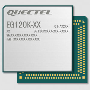 modulo wireless LTE 1