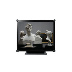 monitor LCD
