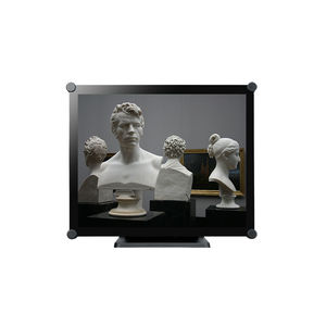 monitor LCD