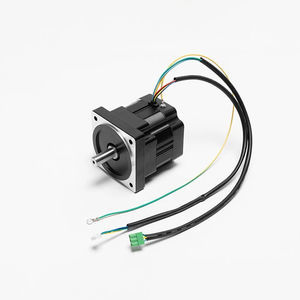 servomotore brushless
