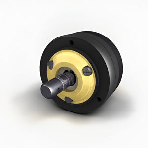 limitatore di coppia elettromagnetico a polvere