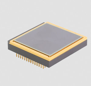 modulo telecamera digitale 1