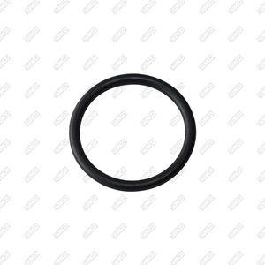 anello di tenuta di precisione